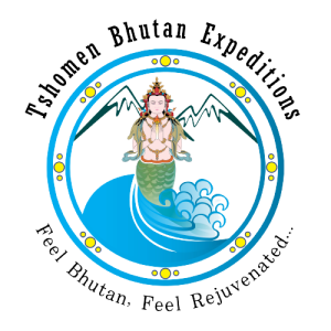 Tshomen_Logo_edited-removebg-preview